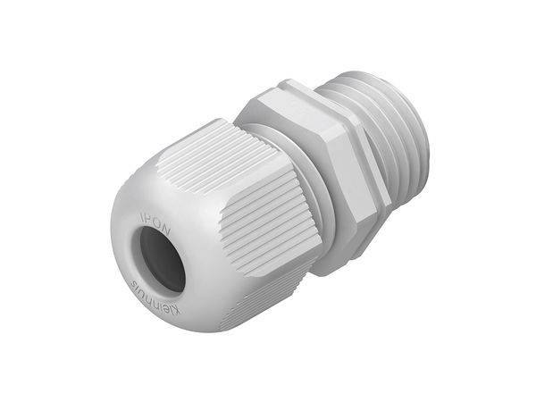 1234P2901 IPON-VERSCHRAUBUNG