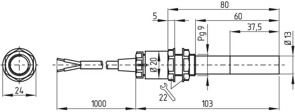 Schmersal Magnetschalter BN 65-01Z