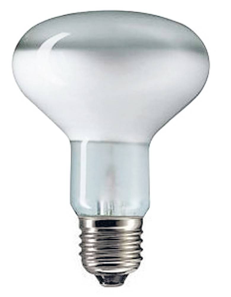 Eine gefrostete Glühbirne mit Standardgewinde ist vor einem einfarbigen Hintergrund abgebildet.