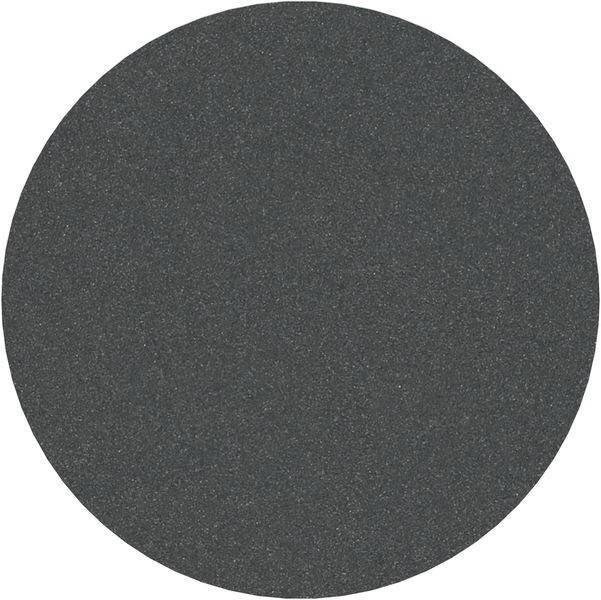Eine schwarze, strukturierte kreisförmige Oberfläche, die Schmirgelpapier ähnelt, vor einem einfarbigen weißen Hintergrund.