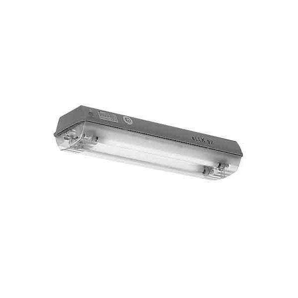 Ceag Sicherheitst. Leuchte eLLK 92018/18 2/6-2