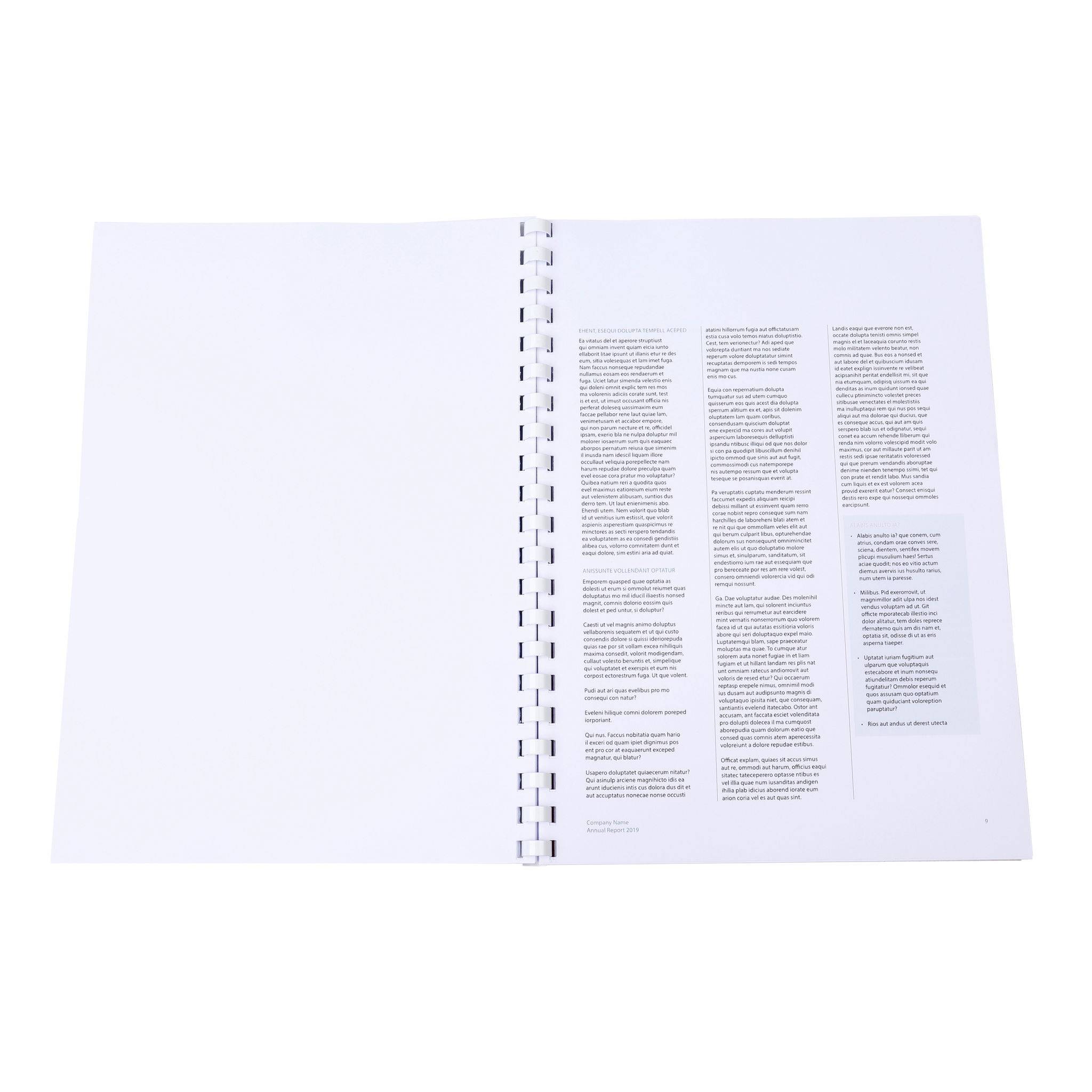 Exacompta Schachtel mit 25 Spiralen 12 mm PVC für die Bindung, A4, Weiß, 76400E