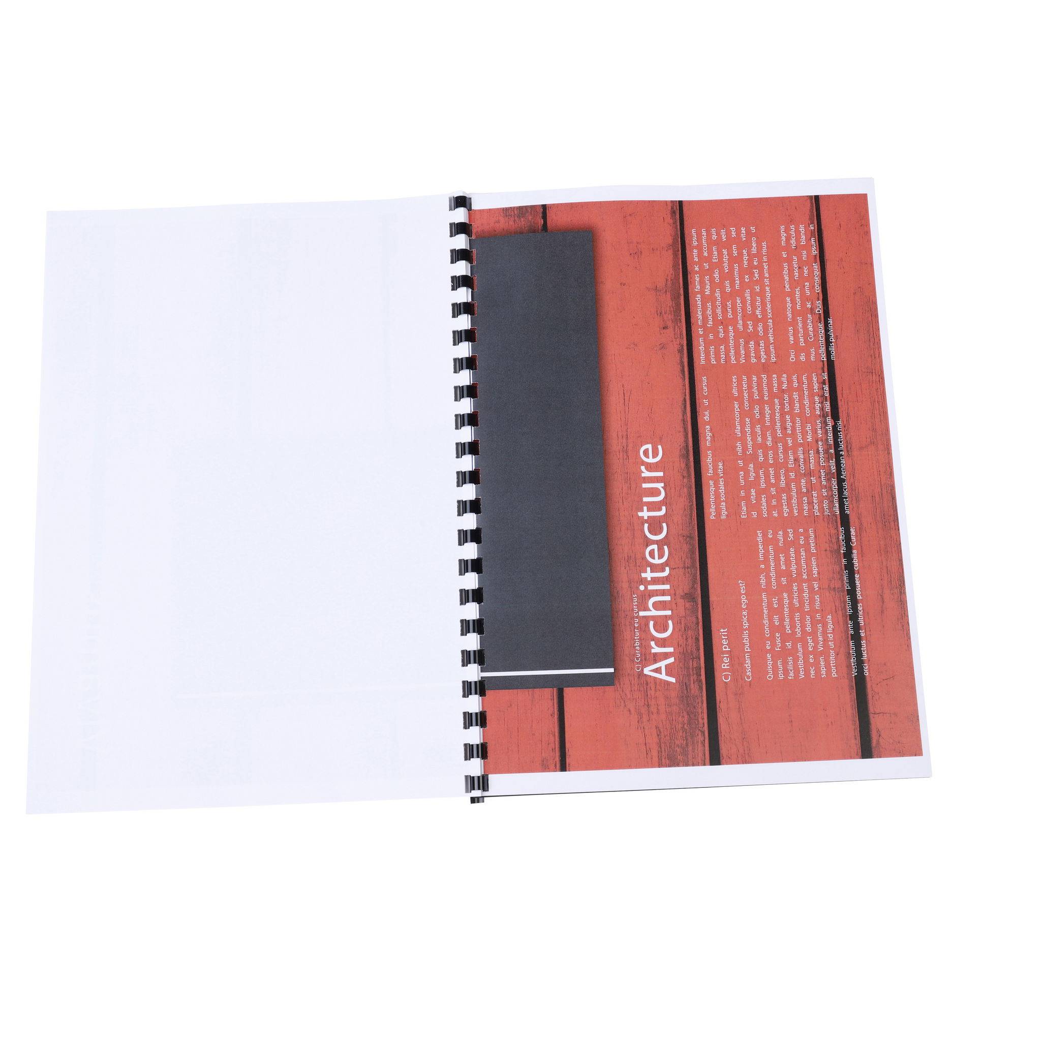 Exacompta Schachtel + 25 Spiralen 6 mm PVC für die Bindung, A4, Schwarz, 76101E