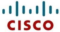 Cisco DISK-SAS-300GB