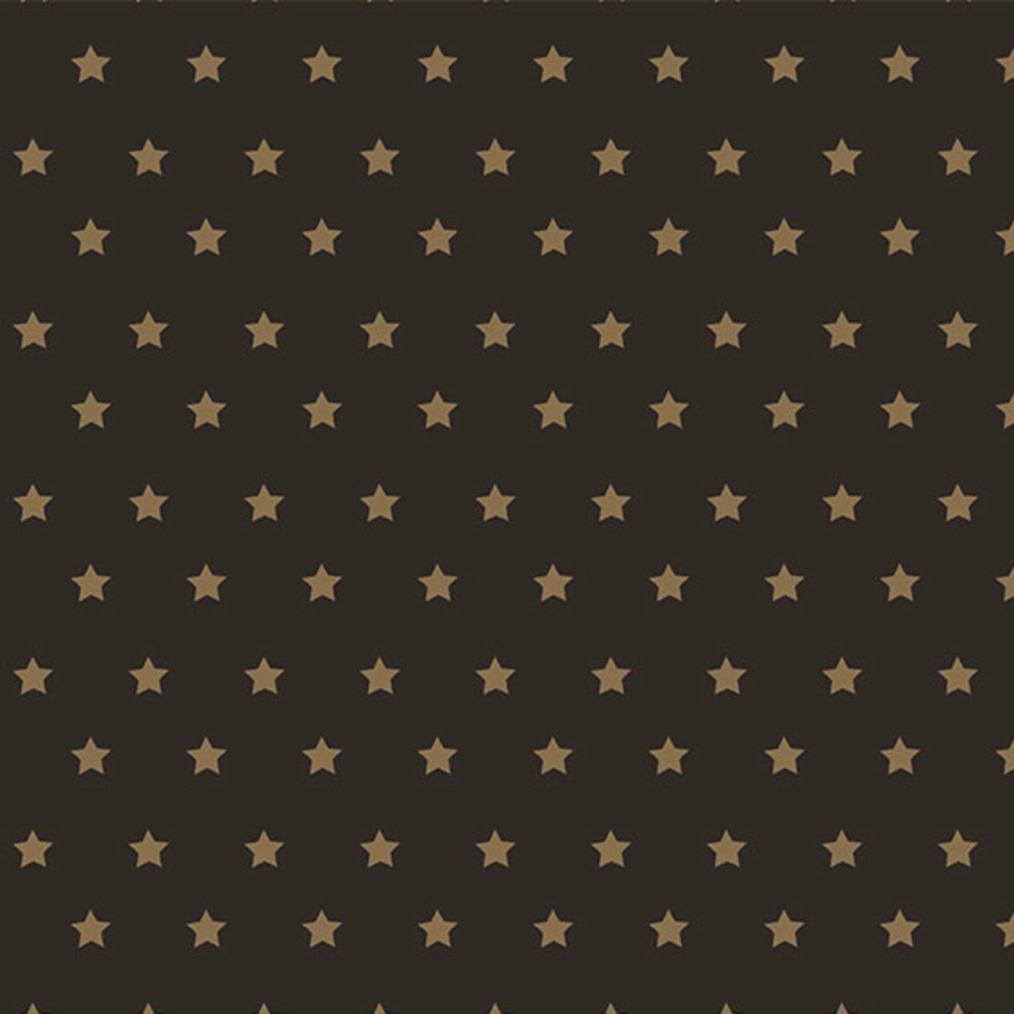 Clairefontaine Geschenkpapierrolle 50x0,70m schwarzer Hintergrund 201339C