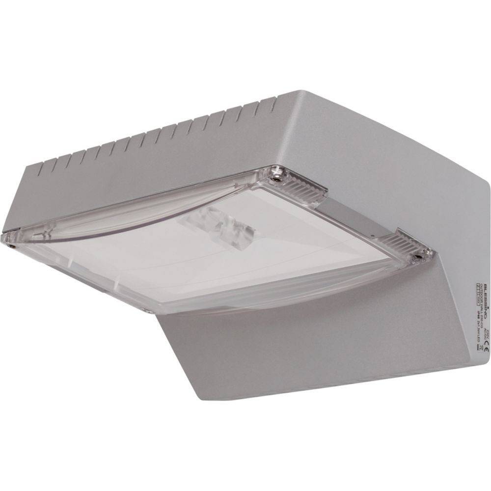 Ceag Notlichtsysteme Sicherheitsleuchte OUTDOOR Wall CG-S