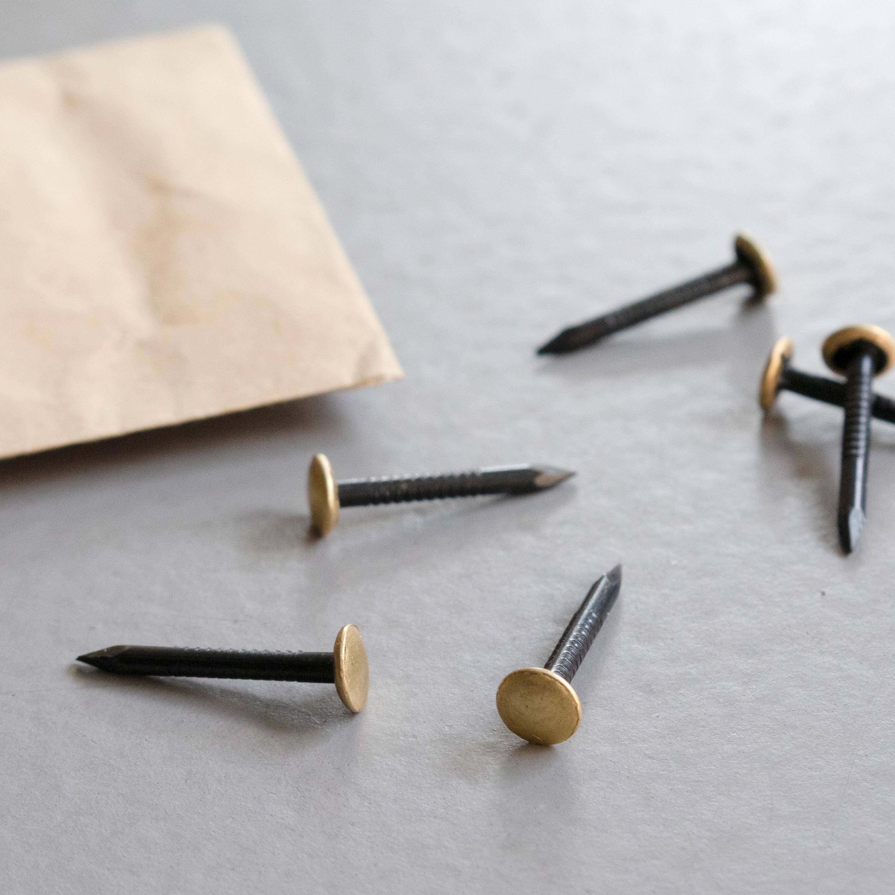 TOX Sortimentsbeutel Home Classic 100 tlg. Bildernagel mit Messingkopf