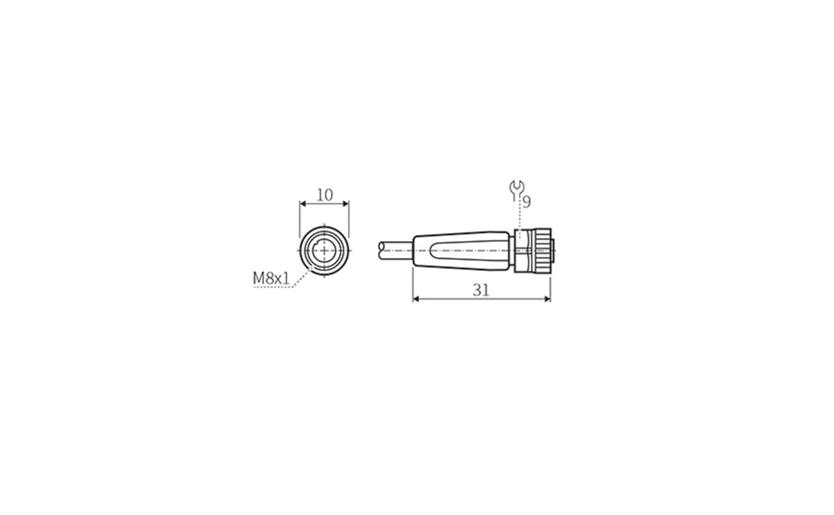 Technische Zeichnung eines zylindrischen Steckers mit Vorder- und Seitenansicht, beschriftete Abmessungen 10, 31, M8x1 und 9.