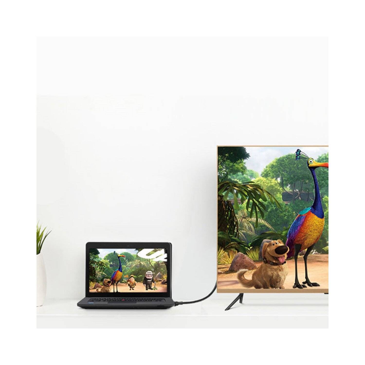 Ugreen Mini DisplayPort - DisplayPort Kabel 1,5m schwarz