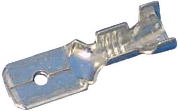 Detailaufnahme eines Metallbeschlags mit einem Loch auf der linken Seite. Die rechte Seite weist eine gebogene, gezackte Kante auf, möglicherweise zum Befestigen oder zur Stabilisierung.