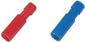 Eine Nahaufnahme eines roten Steckverbinders mit männlichem Anschluss und eines blauen mit weiblichem Anschluss auf weißem Hintergrund, verwendet für elektrische Verkabelung.