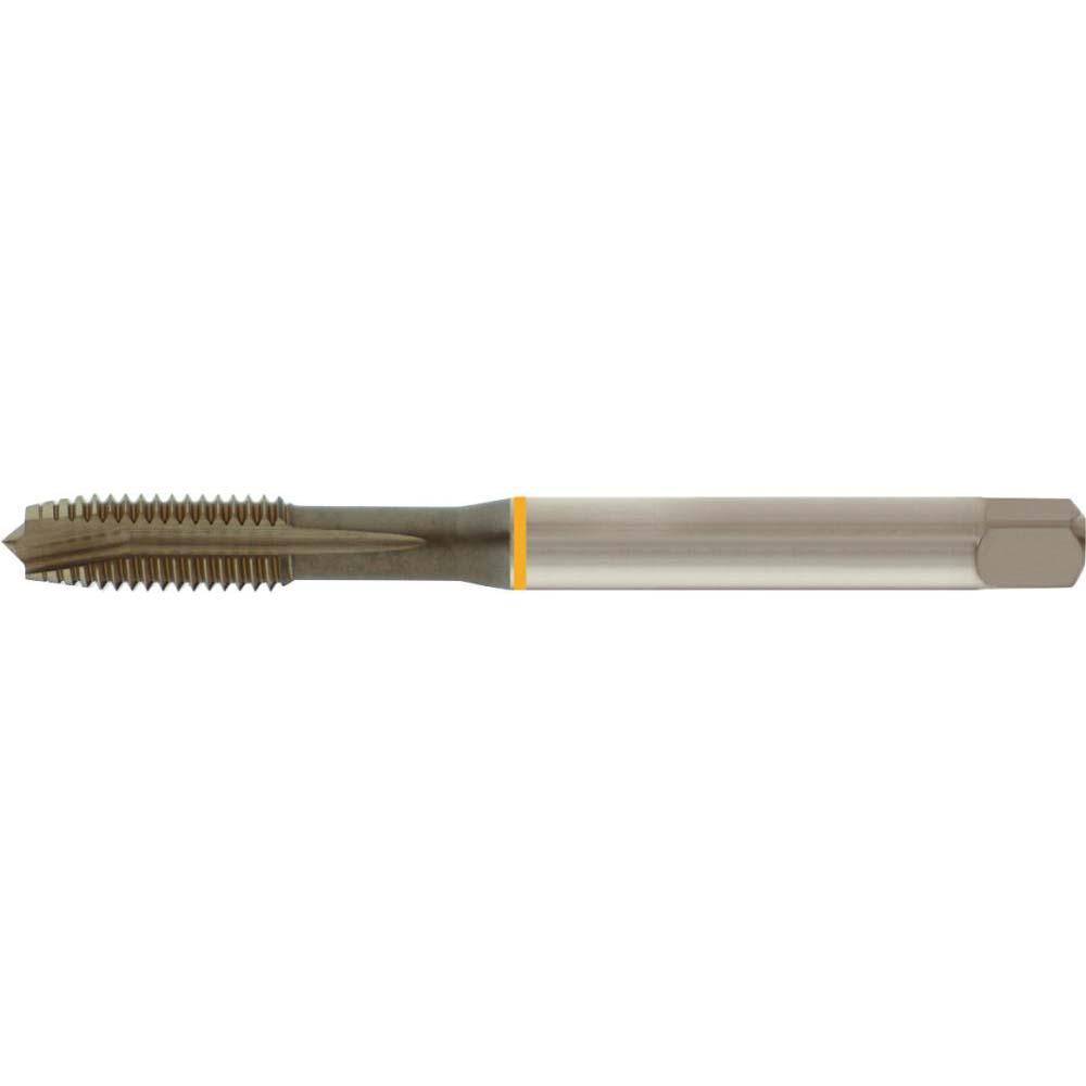 Durchgangsloch-Maschinengewindebohrer D376B - HSS-E - blank - Form B - UNC 7/8" - Preis per Stück