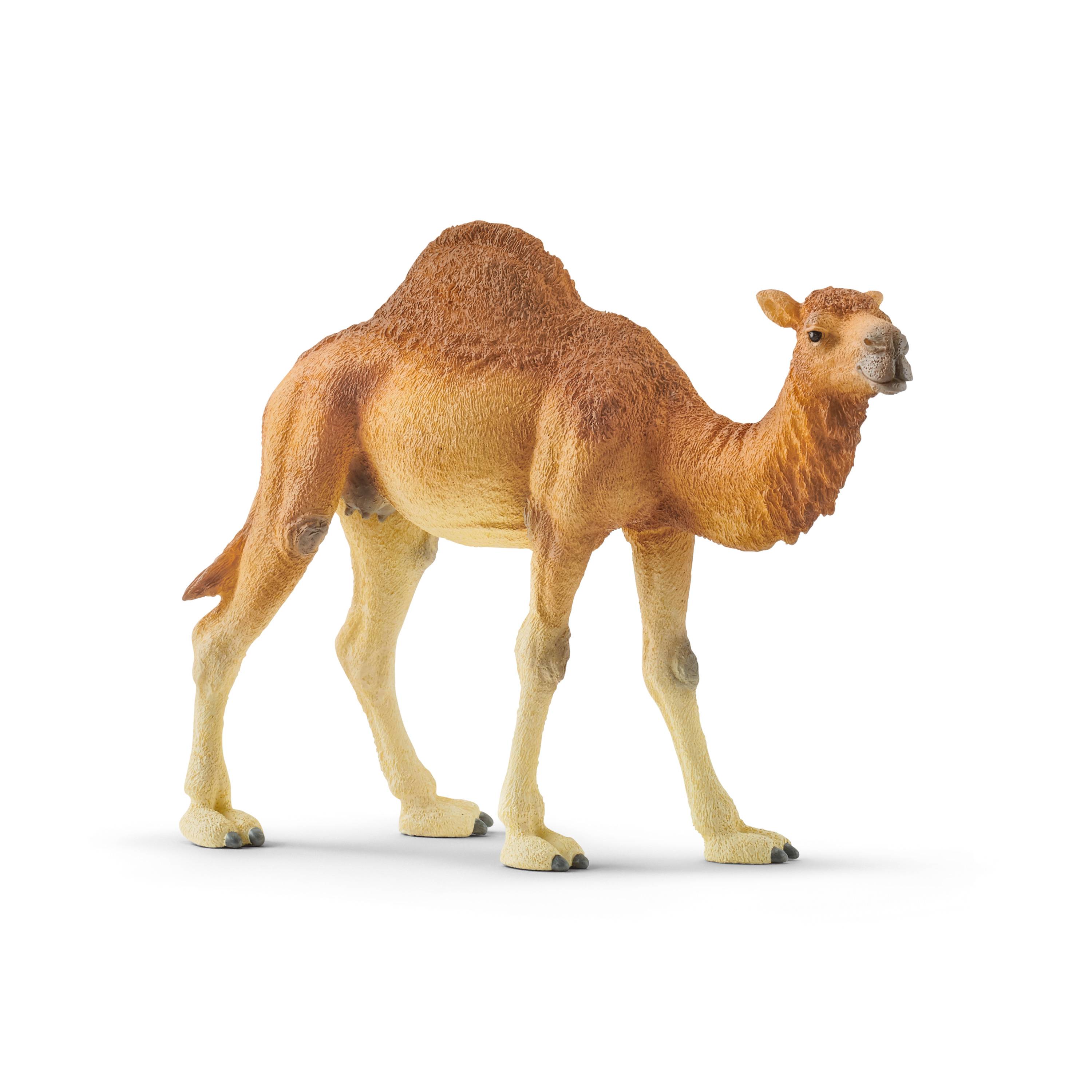 Kamelfigur, die im Profil auf einem schlichten weißen Hintergrund steht.