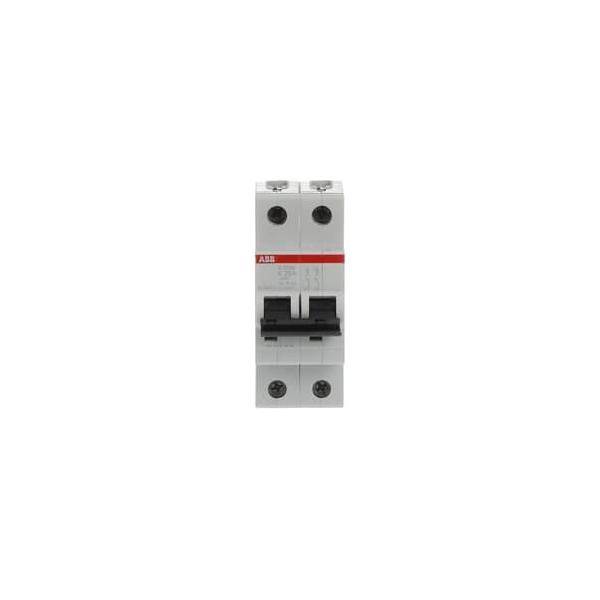 Ein Zweipol-Leitungsschutzschalter mit einem schwarzen Schalter und einem roten Etikett auf der Vorderseite. Entwickelt für elektrische Sicherheit zum Schutz vor Überlastungen.