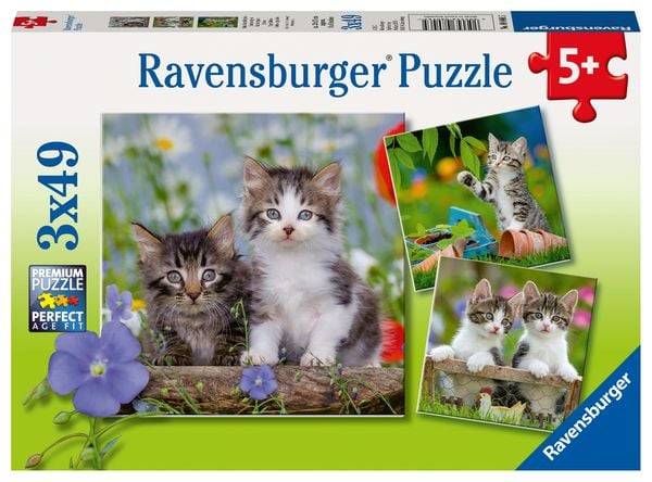 Puzzle Ravensburger Süße Samtpfötchen 3 X 49 Teile