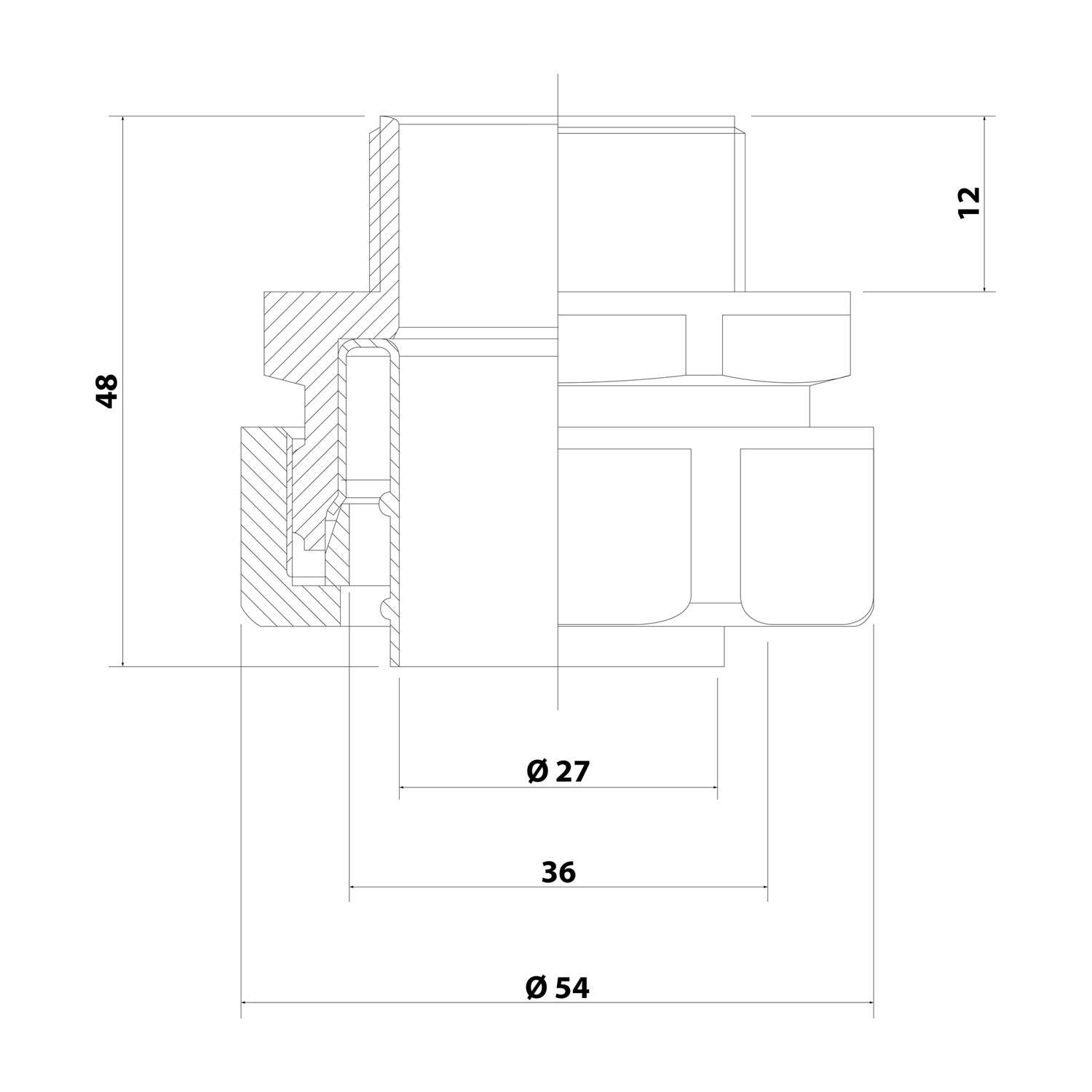 Technische Zeichnung eines mechanischen Bauteils mit gekennzeichneten Abmessungen: 48, 12, 36, Durchmesser 54 und Durchmesser 27.