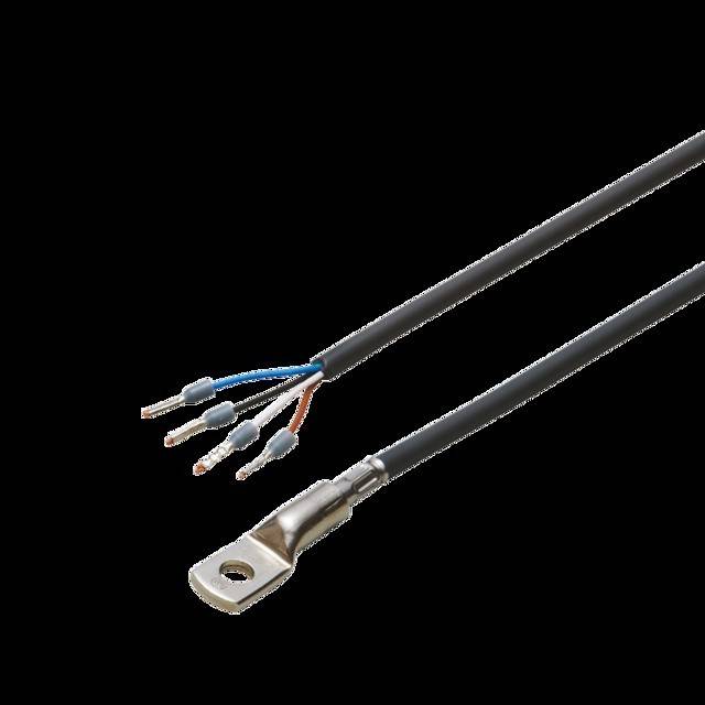 Vier-adriges Elektrokabel mit einem Ringanschluss, ausgestattet mit blauen, weißen, roten und schwarzen Kabeln, auf weißem Hintergrund isoliert.