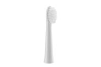 Panasonic WEW0972W503, 2 Stück(e), Weiß, EW-DW81, EW-DW81