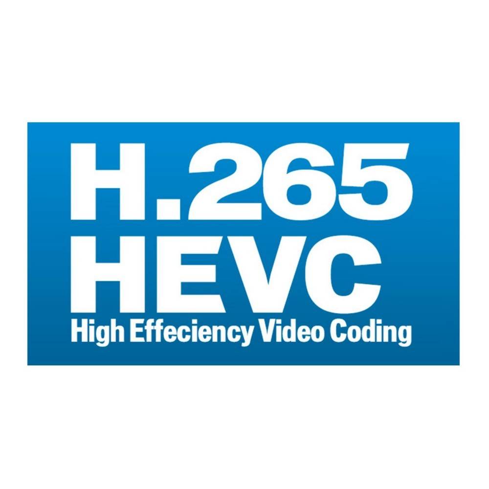 Blaues Logo mit weißem Text: H.265 HEVC High Efficiency Video Coding.