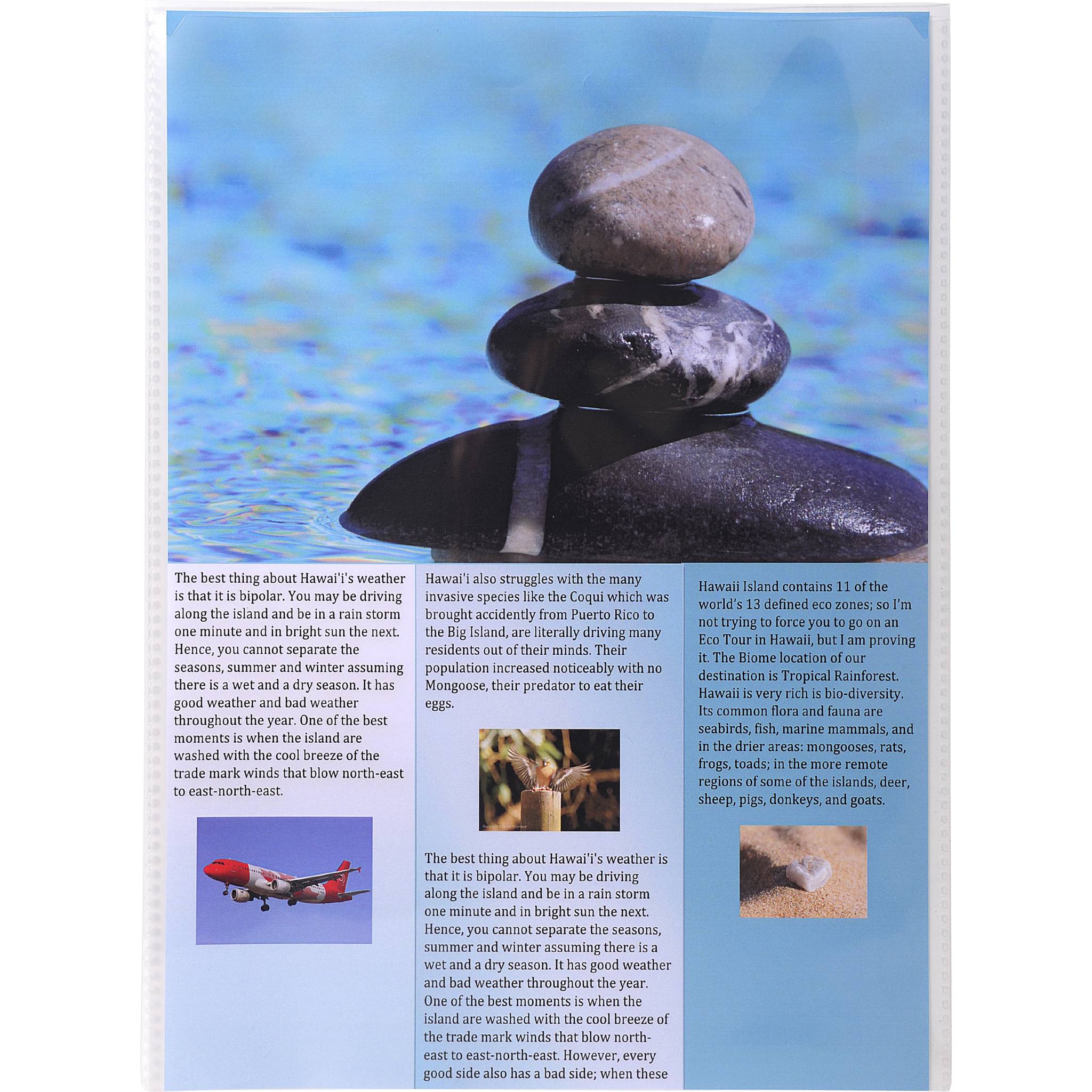 Exacompta 10x Pack 10 Dokumentenschutzhüllen einfach PP 120µ A4 Kristall 38040E