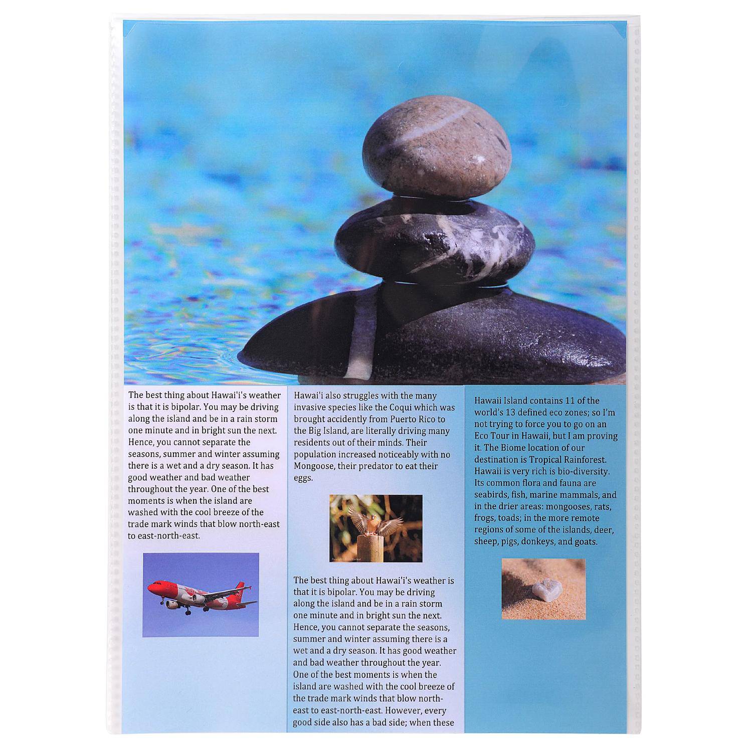 Ein Bildungsplakat über Hawaiis Wetter und Tierwelt, das gestapelte Strandsteine vor einem blauen Ozean-Hintergrund zeigt und Text mit kleinen Fotos eines Flugzeugs und Tieren enthält.