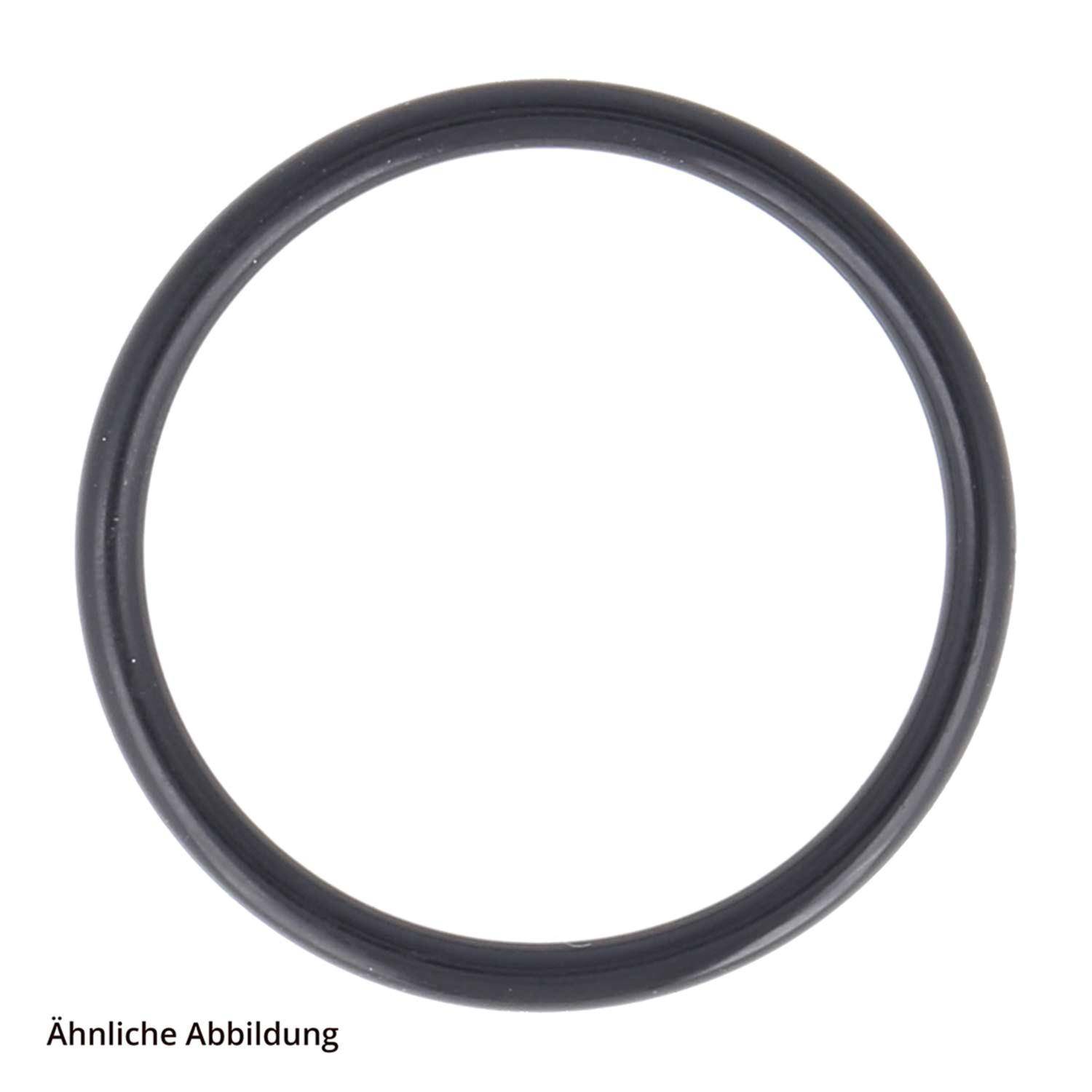 Schwarze Gummi-O-Ring-Dichtung auf weißem Hintergrund.