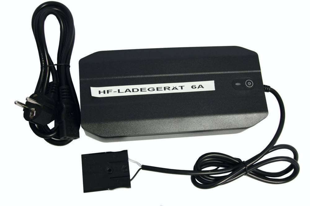 Pramac Schnellladegerät EY000A00021