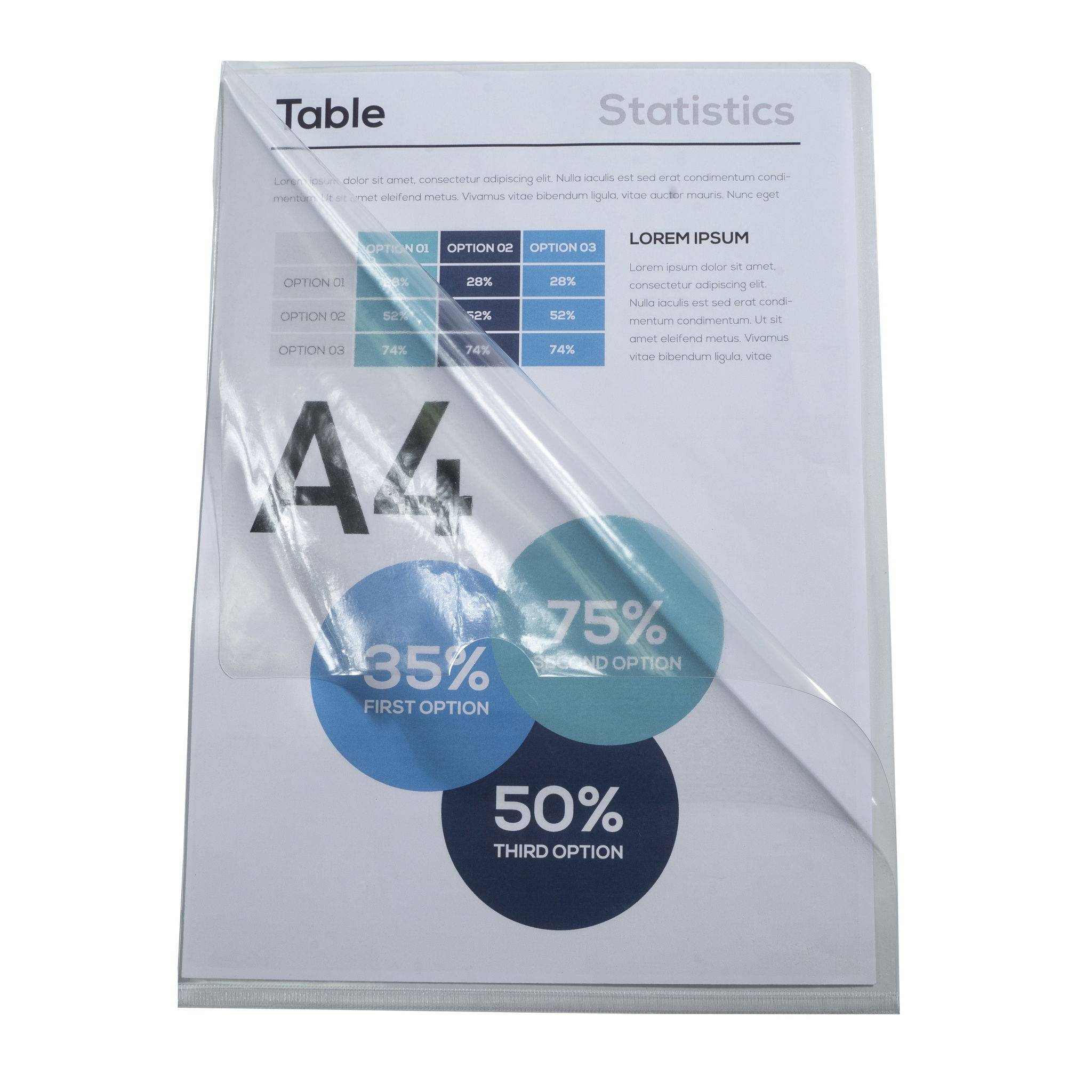 Exacompta 10x Pack 10 Aktensichthüllen glattem PVC 130µ A4 Kristall 660530E