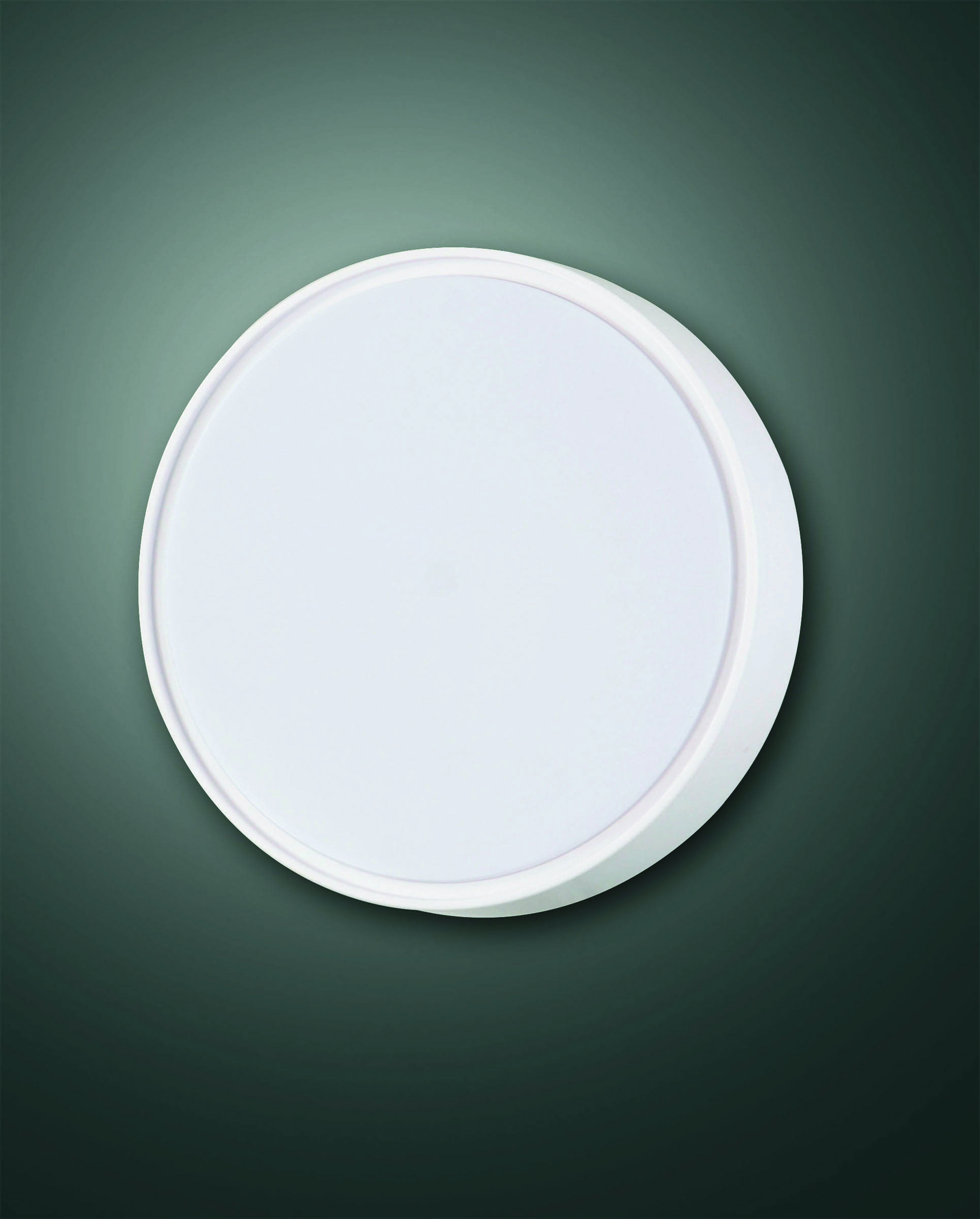 3229-65-102 Deckenleuchte ws.2xE27 30W