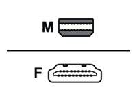 Diagramm mit HDMI-Steckertypen: obenstehender Stecker mit der Bezeichnung M (männlich) und unterhalb davon Buchse mit der Bezeichnung W (weiblich), getrennt durch eine horizontale Linie.