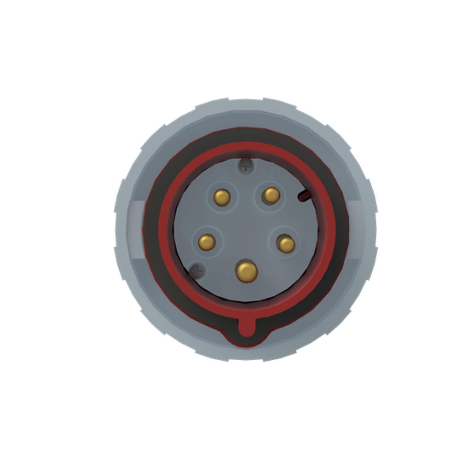 Ein Kreisförmiger Stecker mit fünf goldenen Stiften, umgeben von einem grauen und roten Gehäuse, direkt von vorne betrachtet.