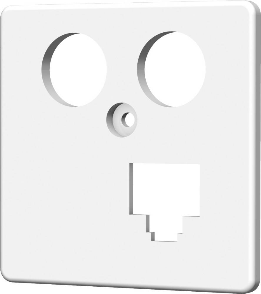 Homeway Zentralplatte LAN/LAN HAXHSE-G0401-CONE