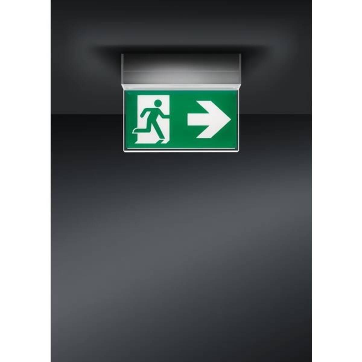 Brumberg Leuchten LED-Rettungszeichenleuchte 79230264