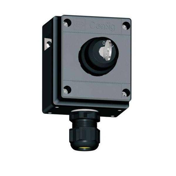 Stahl Schlüsselschalter 8040/1180X-08M01SA05