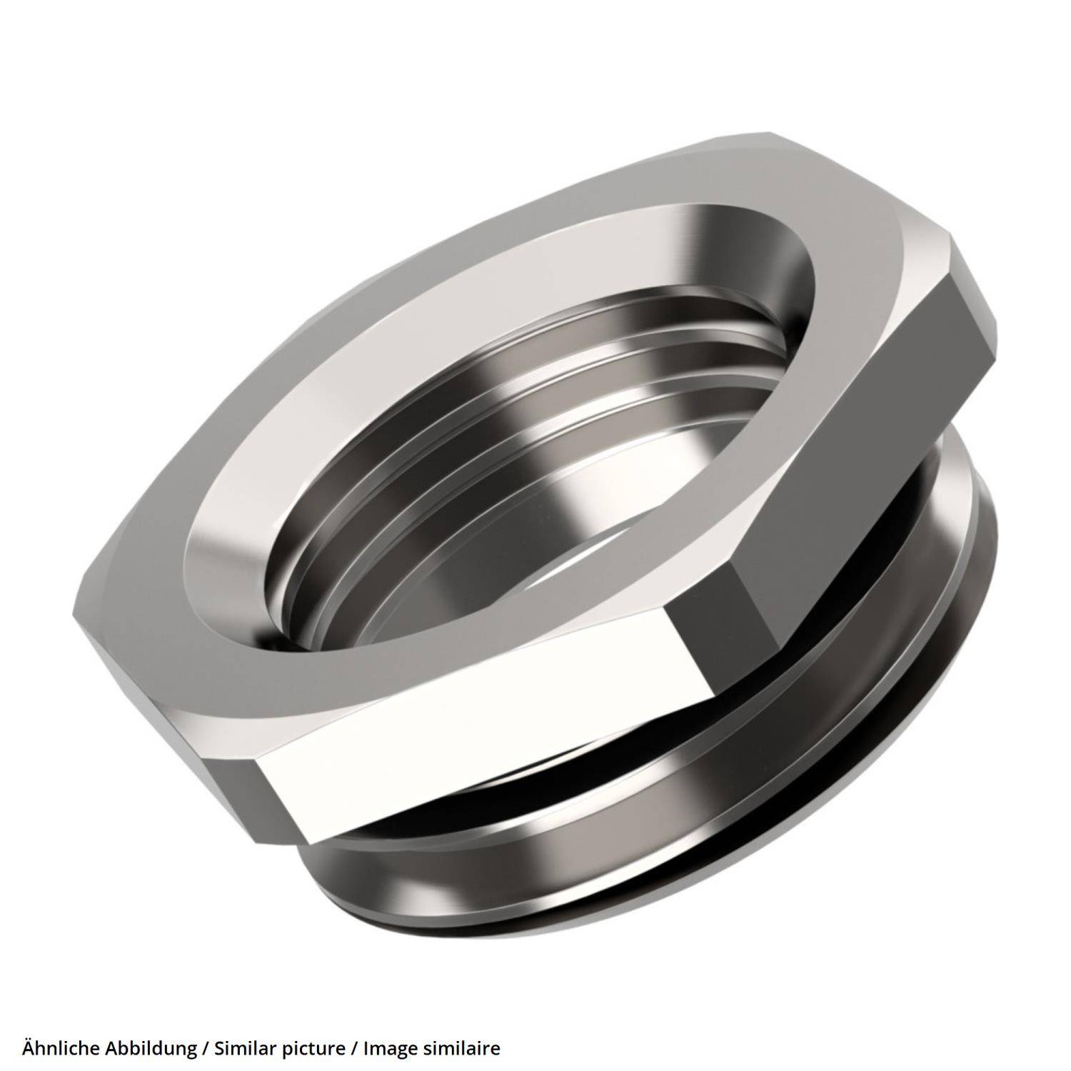 Sechskantmutter aus Metall mit einer Innengewinde, vermutlich für Rohrleitungs- oder Maschinenbauverbindungen verwendet, vor einem schlichten Hintergrund abgebildet.