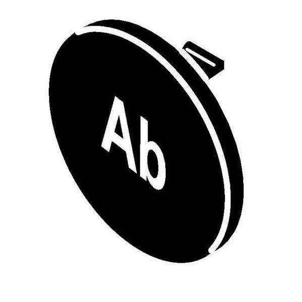 Stahl Tastenschild 8602/3 227827