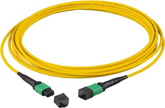 EFB Elektronik MTPF24MTPFOS2-10-A - 10 m - OS2 - MTP - MTP - G657A1 9/125 - Type