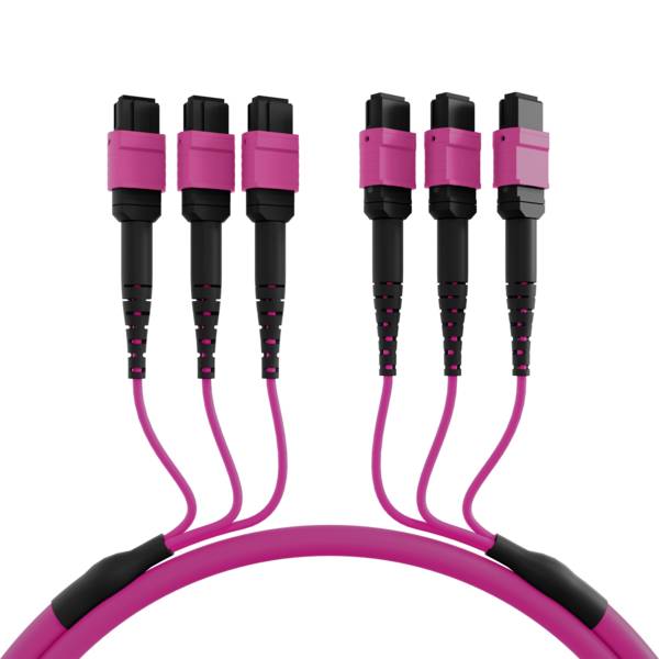 Sechs magenta-und-schwarze Glasfaserstecker an rosa Kabeln befestigt, in zwei Gruppen von je drei auf weißem Hintergrund angeordnet.