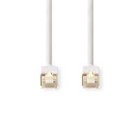 Zwei Ethernet-Kabel mit nach vorne gerichteten Steckern, weiß gefärbt, aufrecht vor einem einfachen Hintergrund angezeigt.