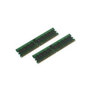Zwei grüne Speicher-RAM-Sticks, jeder mit schwarzen integrierten Schaltkreisen, parallel auf weißem Hintergrund angeordnet.