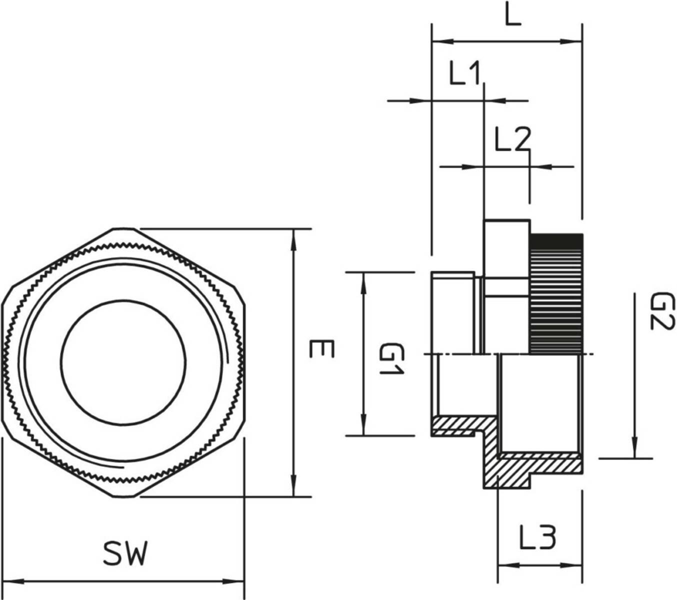 Eine technische Zeichnung mit Abmessungen eines Gewindeanschlusses mit Bezugslinien und Beschriftungen: 'L', 'L1', 'L2', 'M', 'G1', 'L3', 'SW'.