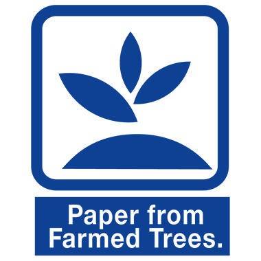 Double A Multifunktionspapier Papierformat: DIN A4 Grammatur: 80 g/m