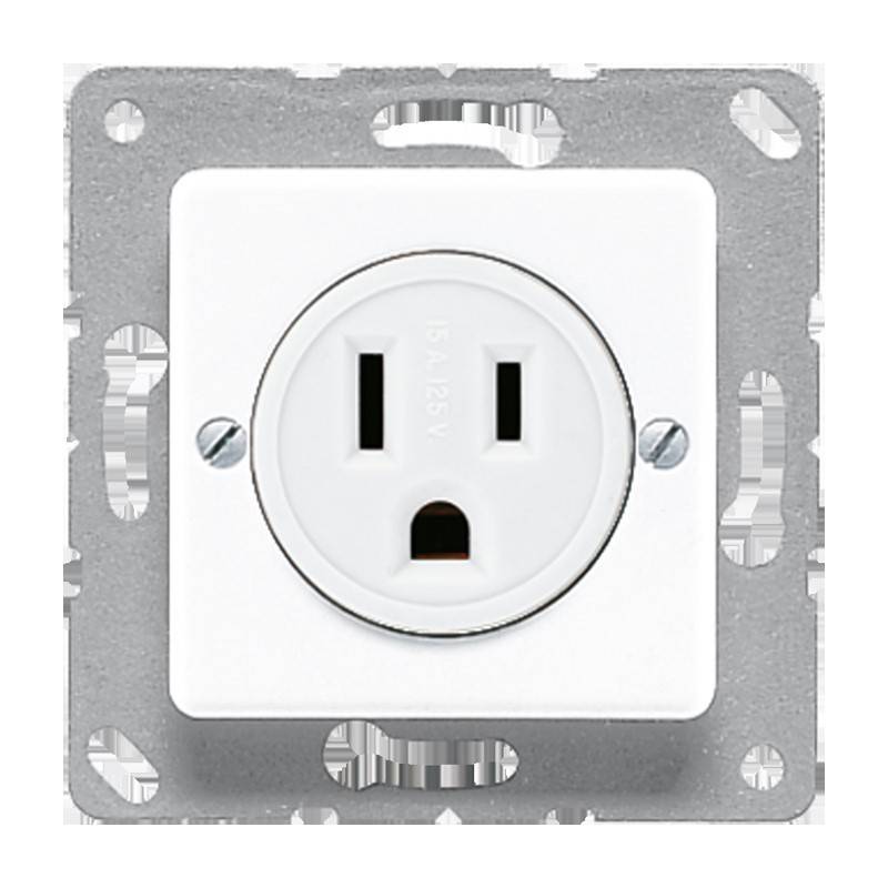 Jung Steckd NEMA15 A125 121-15 WW