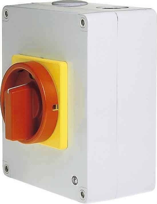 Elektra Tailfingen Haupt-Not-Aus-Schalter D2 05/HS-T8/2-D-MRG