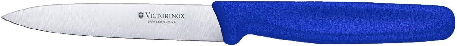 Victorinox 5.0702 Gemüsemesser, 10cm, Mittelspitz, Klingenschutz, spülmaschinengeeignet, blau , 30 x 5 x 5 cm