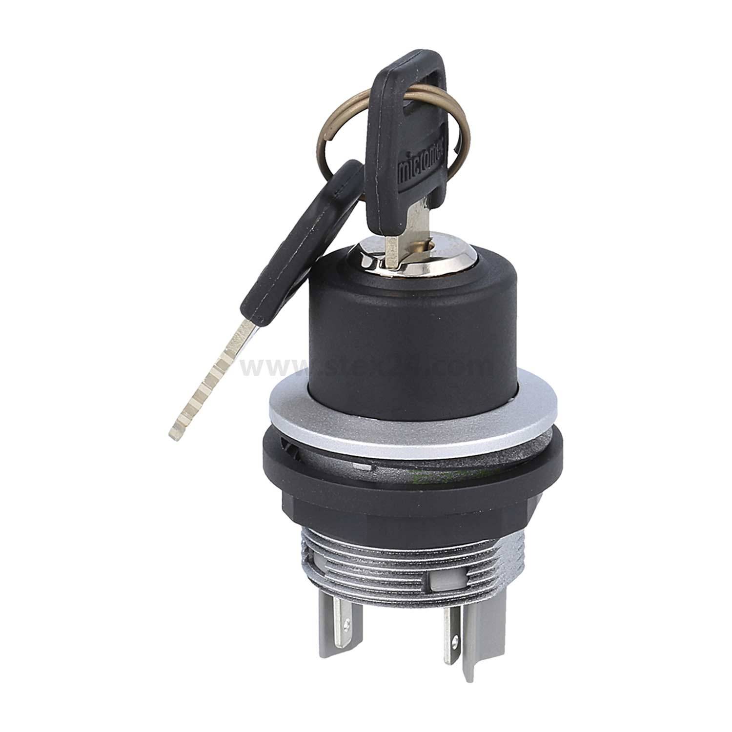 Ein schwarzer und silberner Zündschalter mit zwei eingesteckten Schlüsseln und angehängtem Schlüsselring, mit drei Metallzacken an der Basis für elektrische Verbindung.