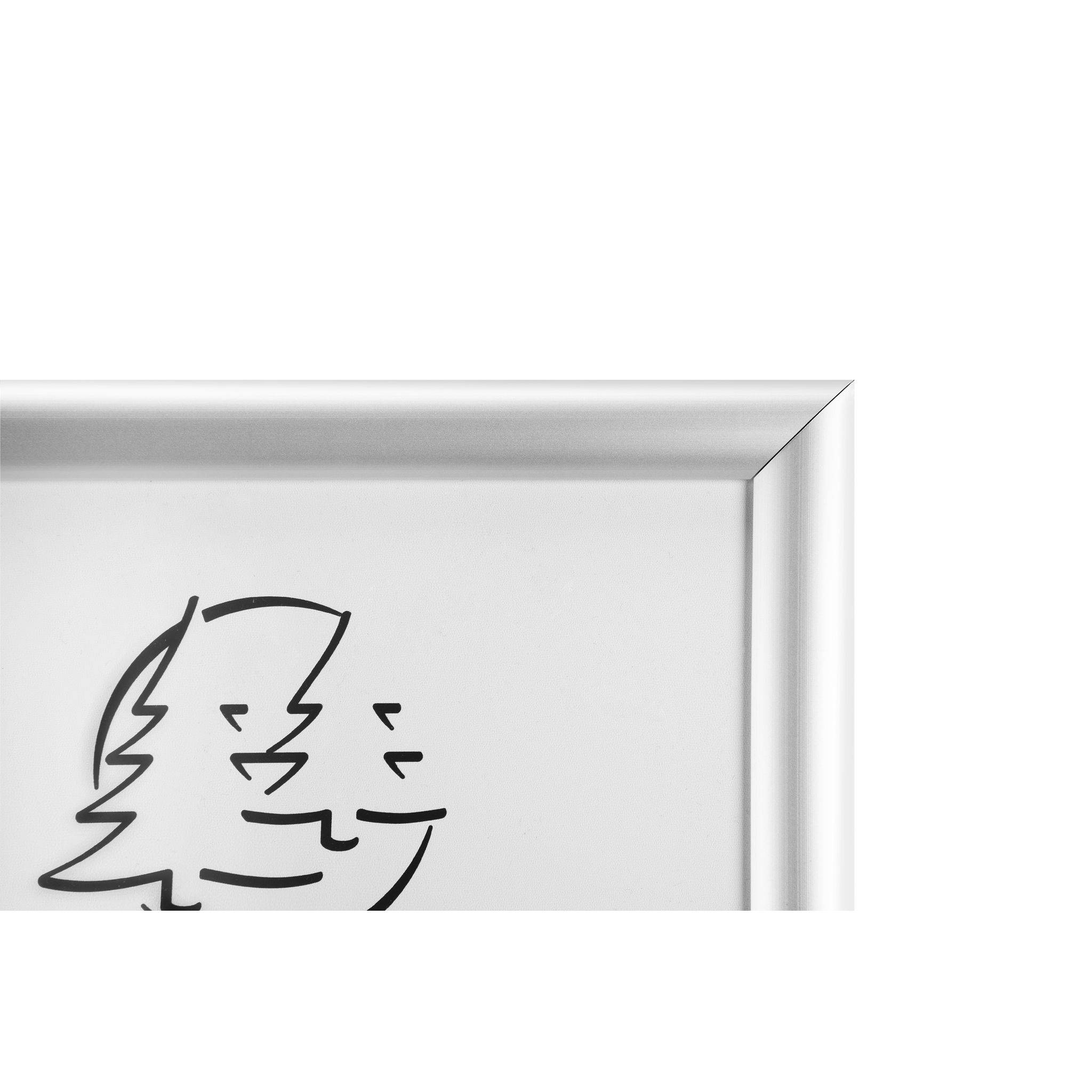 Exacompta Wandplakatrahmen mit Rahmen Aluminium A2, Exacryl, Kristall, 8294358D