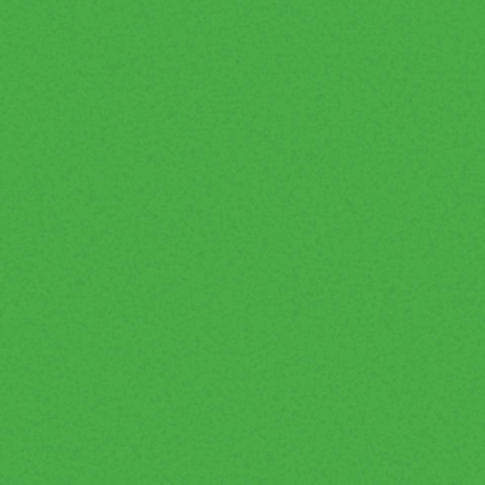 Außenmarkierfarbe PROline-Paint, grün RAL 6018, matt, 5-l-Gebinde