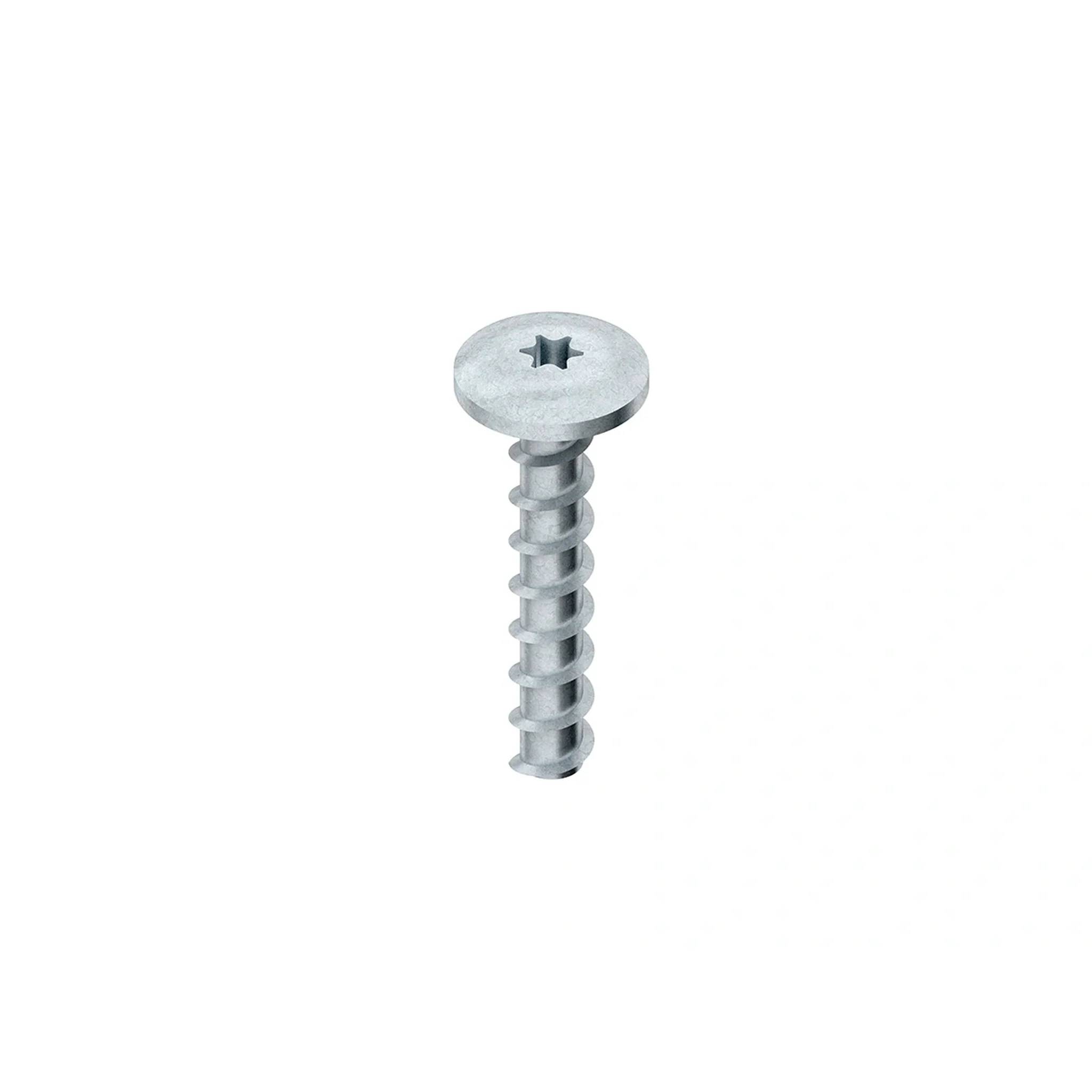 Kleinhuis Schraubanker E00, Flachkopf, groß, Ø 6mm, L 50mm, Torx T30, 1 Stk.