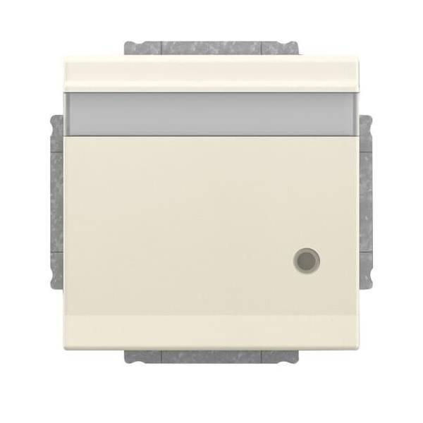 Busch-Jaeger SCHUKO Steckdosen-Einsatz 20 EUKNBL-82